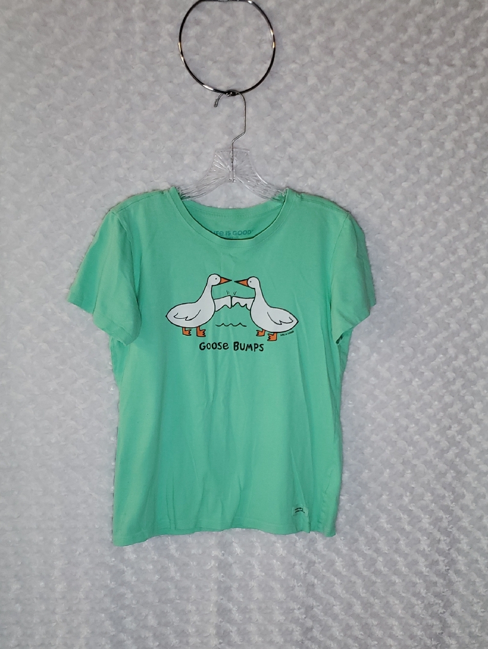 Life Is Good Mint Green Graphic Tee with Duck Illustration